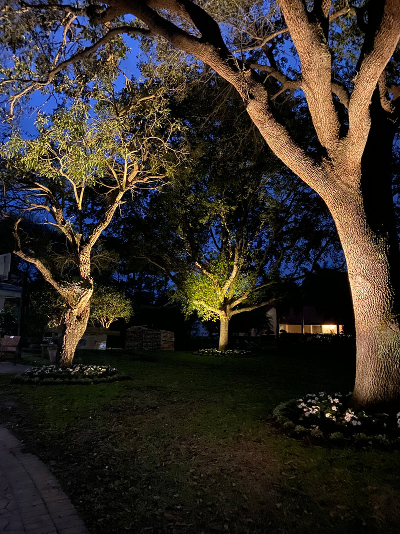 Tree lighting - Brightway Landscape Lighting