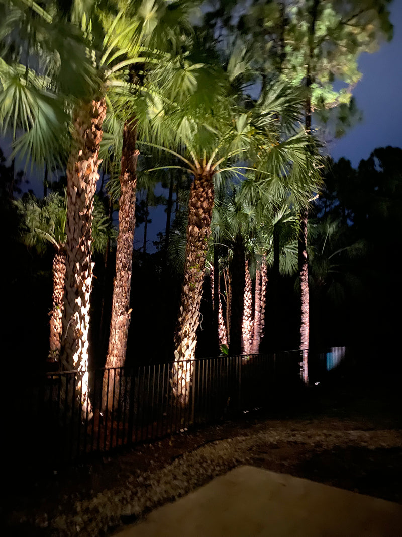 Tree lighting - Brightway Landscape Lighting